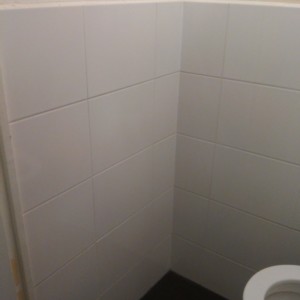 toilet renovatie leeuwarden (2)